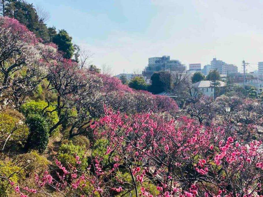 Apartment 【広々一軒家】帰国者歓迎！最大9名!空港直通＆山手線すぐ！ファミリー向け80m2庭付き大福ハウス *